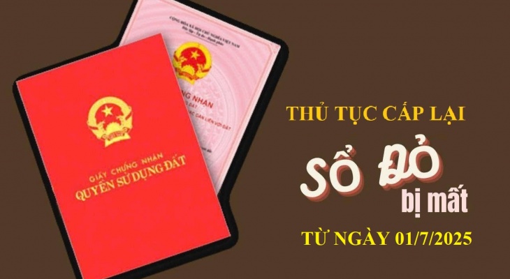 Thủ tục cấp lại Sổ đỏ khi bị mất, rách hoặc hư hỏng (Cập nhật 2025)